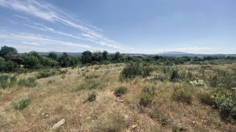 Terreno para Venda em Talhinhas e Bagueixe