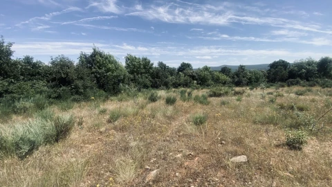Terreno para Venda em Talhinhas e Bagueixe