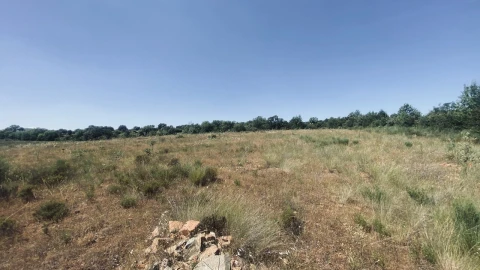 Terreno para Venda em Talhinhas e Bagueixe