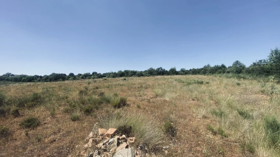 Terreno para Venda em Talhinhas e Bagueixe Foto 8