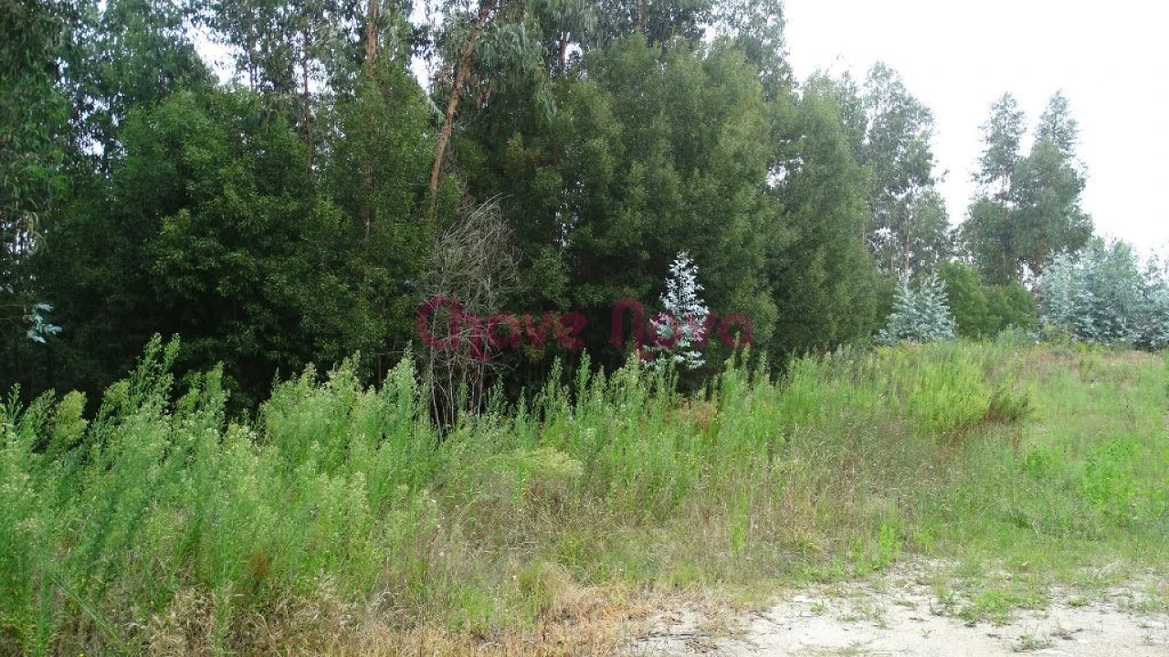 Terreno para Venda em Arcozelo Foto 2