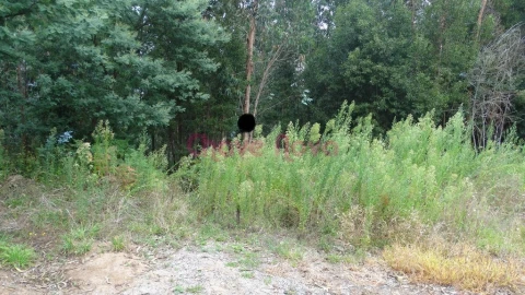 Terreno para Venda em Arcozelo