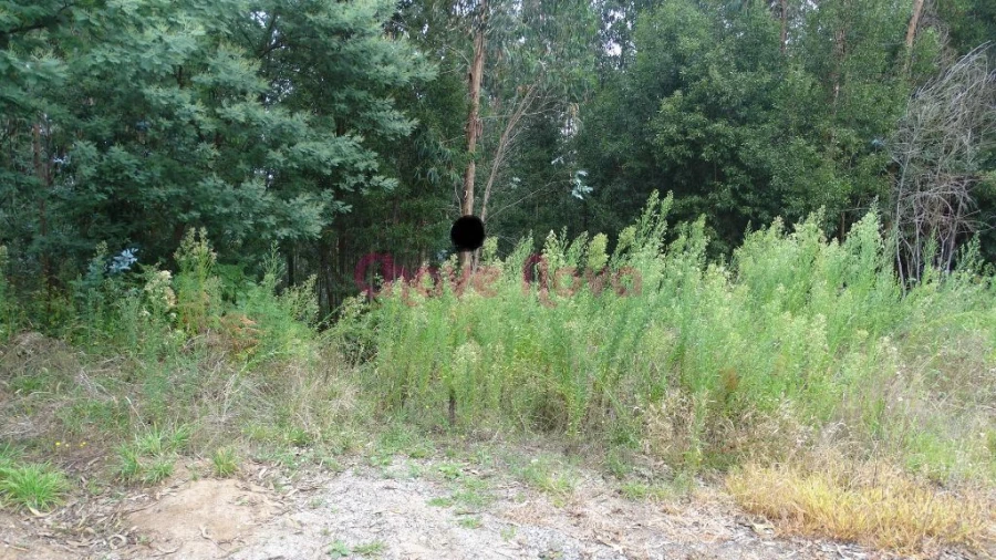 Terreno para Venda em Arcozelo Foto 3