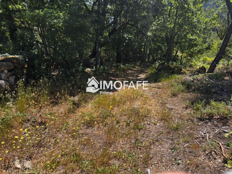 Terreno para Venda em Salvador e Santo Aleixo de Além-Tâmega Foto 7