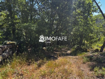 Terreno para Venda em Salvador e Santo Aleixo de Além-Tâmega
