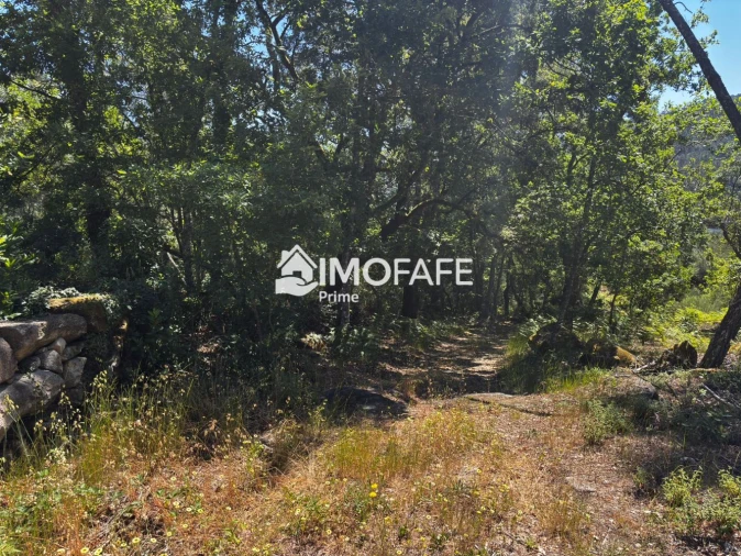 Terreno para Venda em Salvador e Santo Aleixo de Além-Tâmega Foto 14