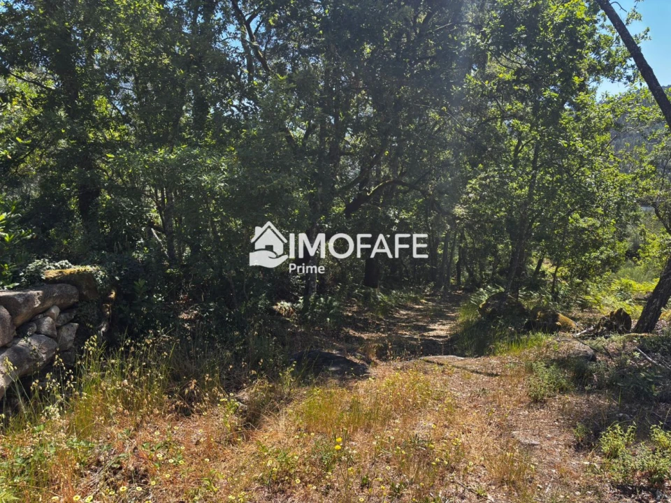 Terreno para Venda em Salvador e Santo Aleixo de Além-Tâmega Foto 14