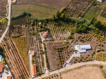Quinta T4 para Venda em Carvalhal