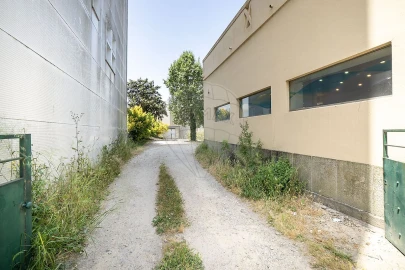 Prédio para Venda em Vila Chã, Codal e Vila Cova de Perrinho