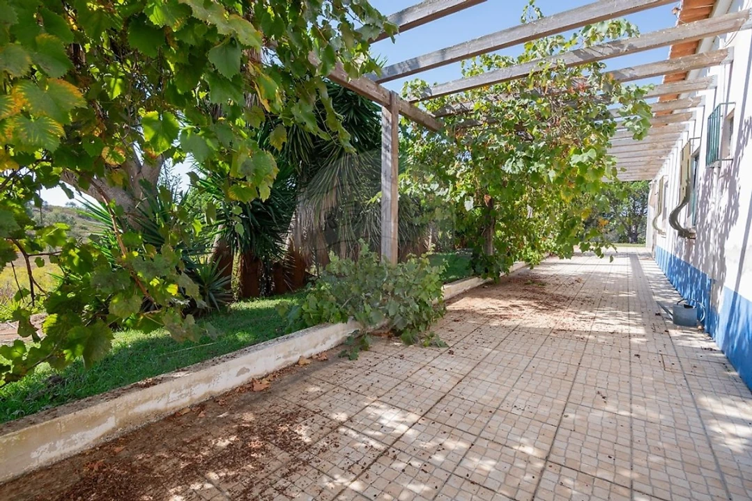 Quinta T3 para Venda em São Teotónio Foto 49