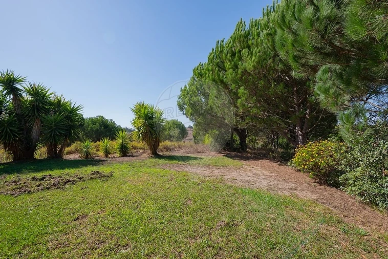 Quinta T3 para Venda em São Teotónio Foto 36