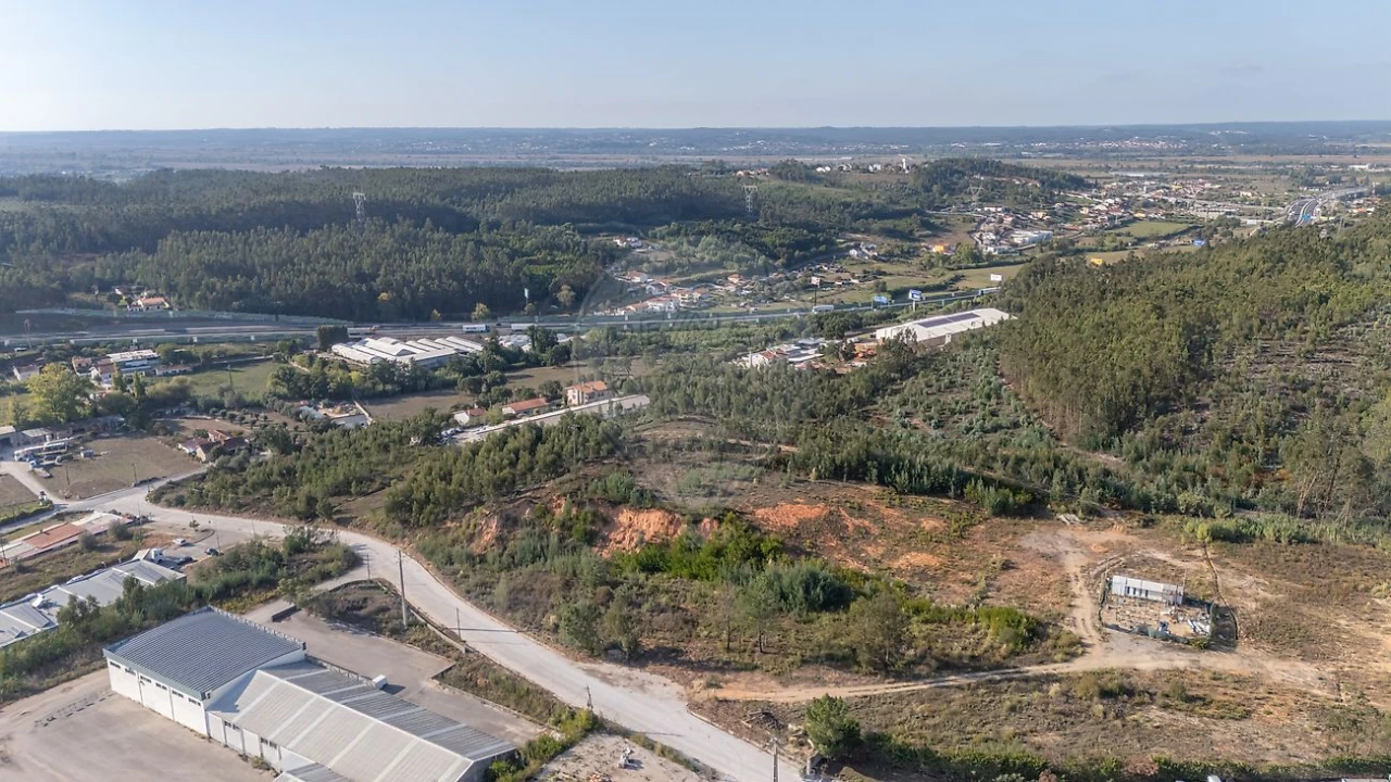 Terreno para Venda em São Martinho do Bispo e Ribeira de Frades Foto 14