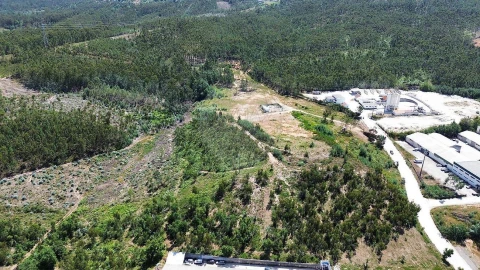 Terreno para Venda em São Martinho do Bispo e Ribeira de Frades