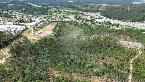 Terreno para Venda em São Martinho do Bispo e Ribeira de Frades
