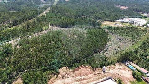 Terreno para Venda em São Martinho do Bispo e Ribeira de Frades