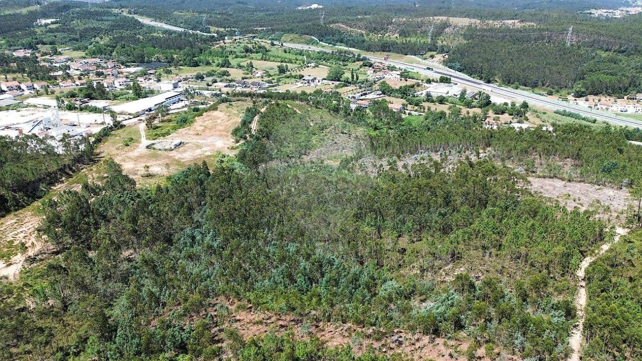 Terreno para Venda em São Martinho do Bispo e Ribeira de Frades Foto 3