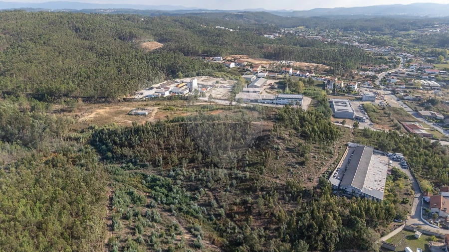 Terreno para Venda em São Martinho do Bispo e Ribeira de Frades Foto 10