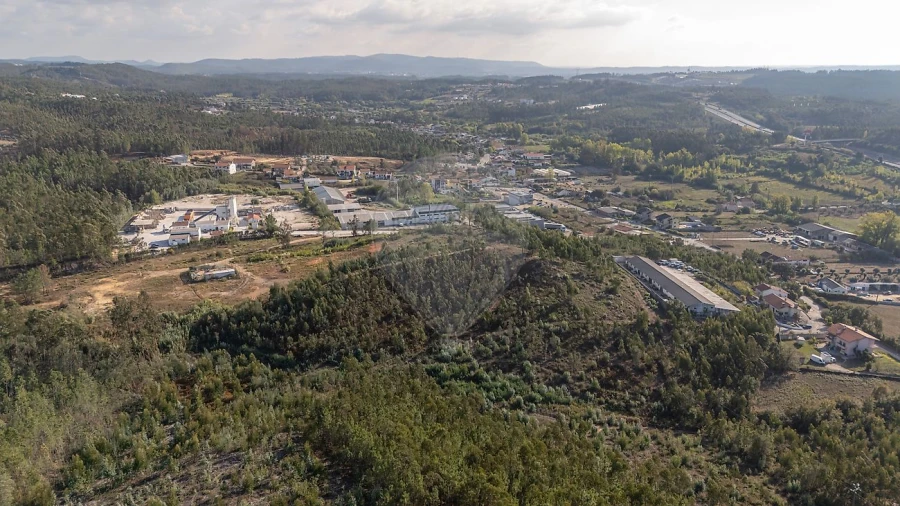 Terreno para Venda em São Martinho do Bispo e Ribeira de Frades Foto 12
