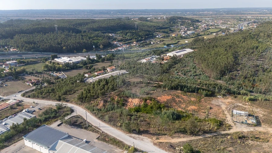 Terreno para Venda em São Martinho do Bispo e Ribeira de Frades Foto 17