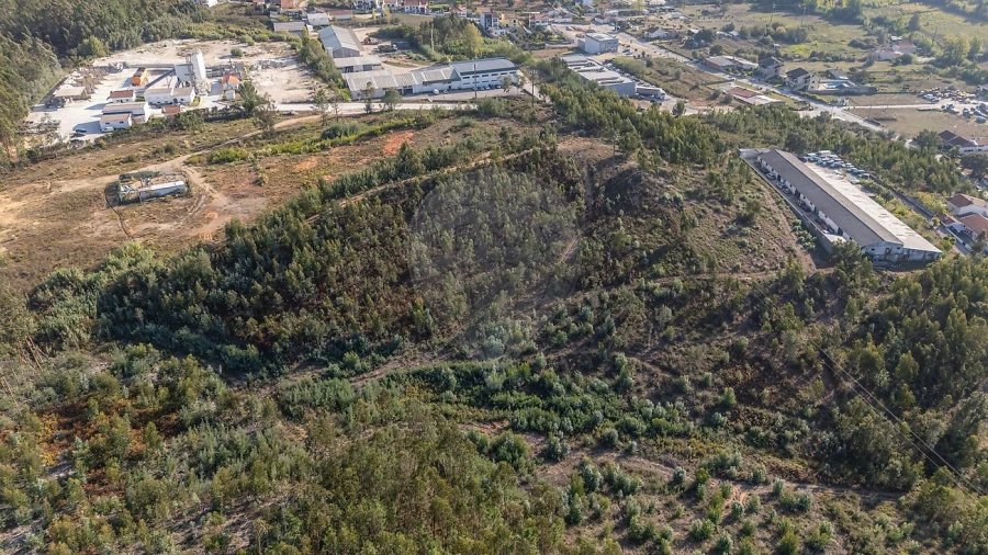 Terreno para Venda em São Martinho do Bispo e Ribeira de Frades Foto 13