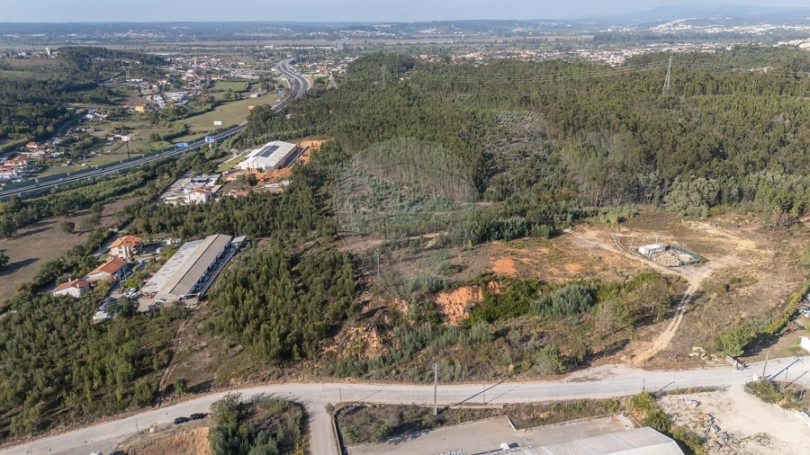 Terreno para Venda em São Martinho do Bispo e Ribeira de Frades Foto 16