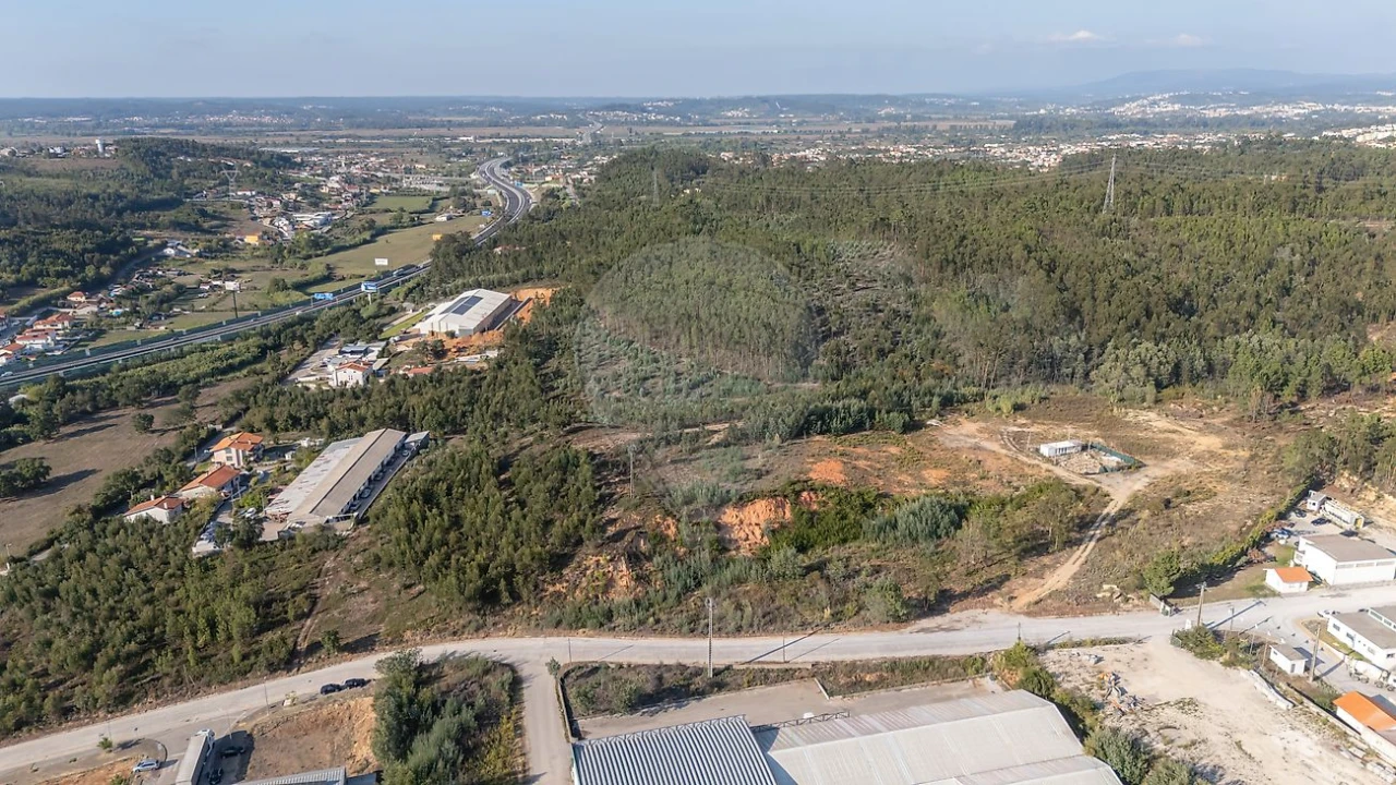 Terreno para Venda em São Martinho do Bispo e Ribeira de Frades Foto 19