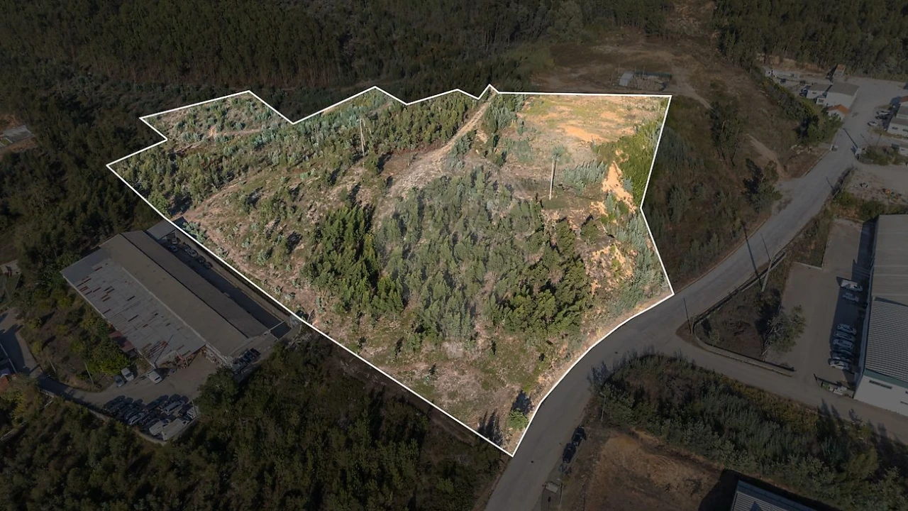Terreno para Venda em São Martinho do Bispo e Ribeira de Frades Foto 22