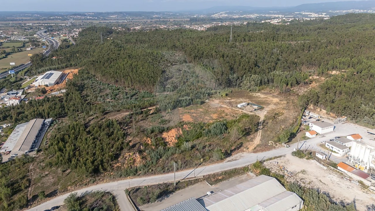 Terreno para Venda em São Martinho do Bispo e Ribeira de Frades Foto 8