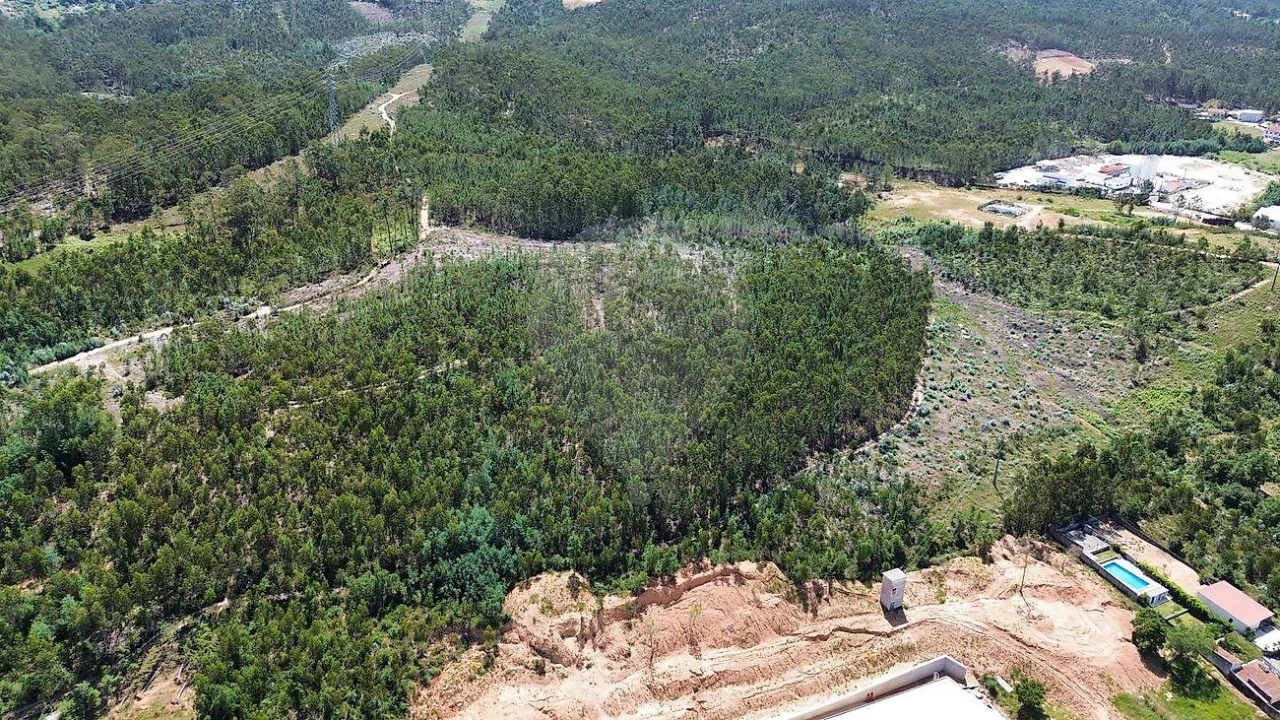 Terreno para Venda em São Martinho do Bispo e Ribeira de Frades Foto 5