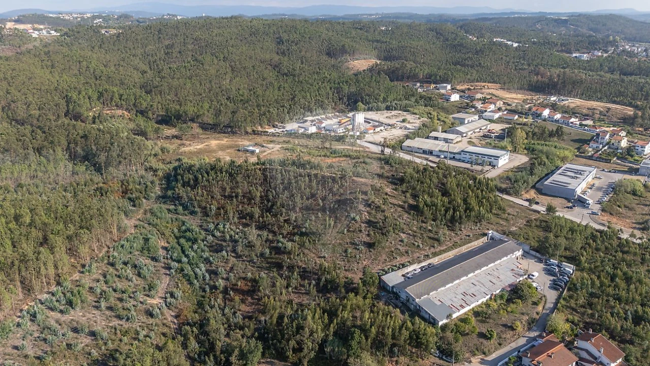 Terreno para Venda em São Martinho do Bispo e Ribeira de Frades Foto 9