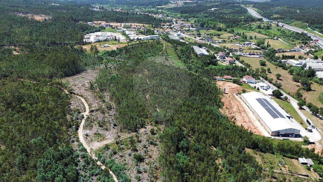 Terreno para Venda em São Martinho do Bispo e Ribeira de Frades Foto 4