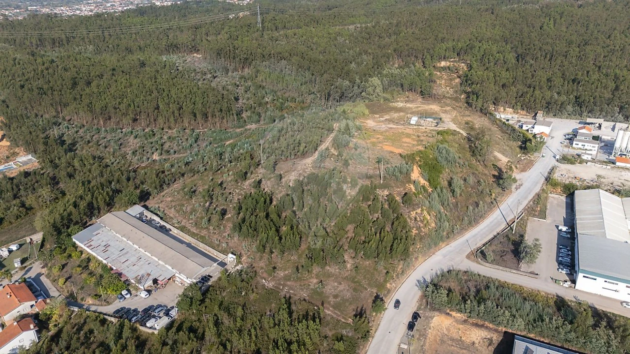 Terreno para Venda em São Martinho do Bispo e Ribeira de Frades Foto 6