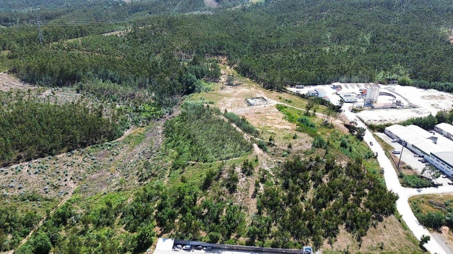 Terreno para Venda em São Martinho do Bispo e Ribeira de Frades