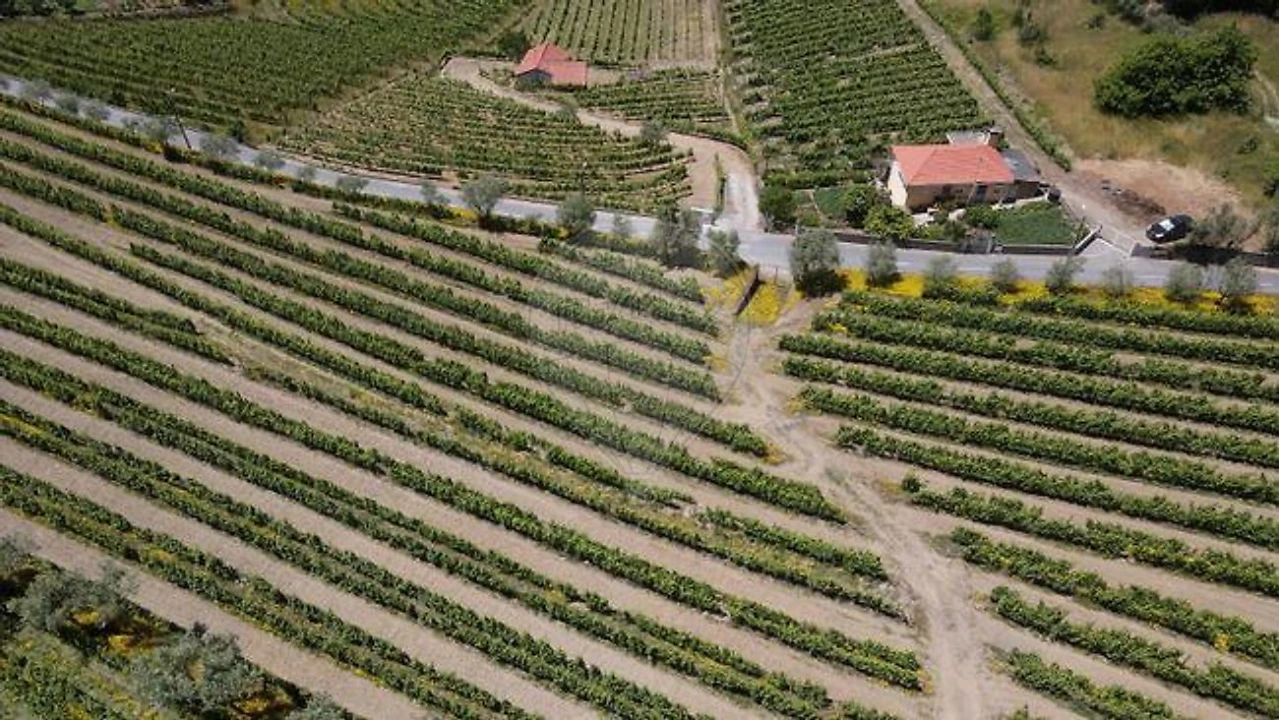 Negócio para Venda em Moura Morta e Vinhós Foto 7