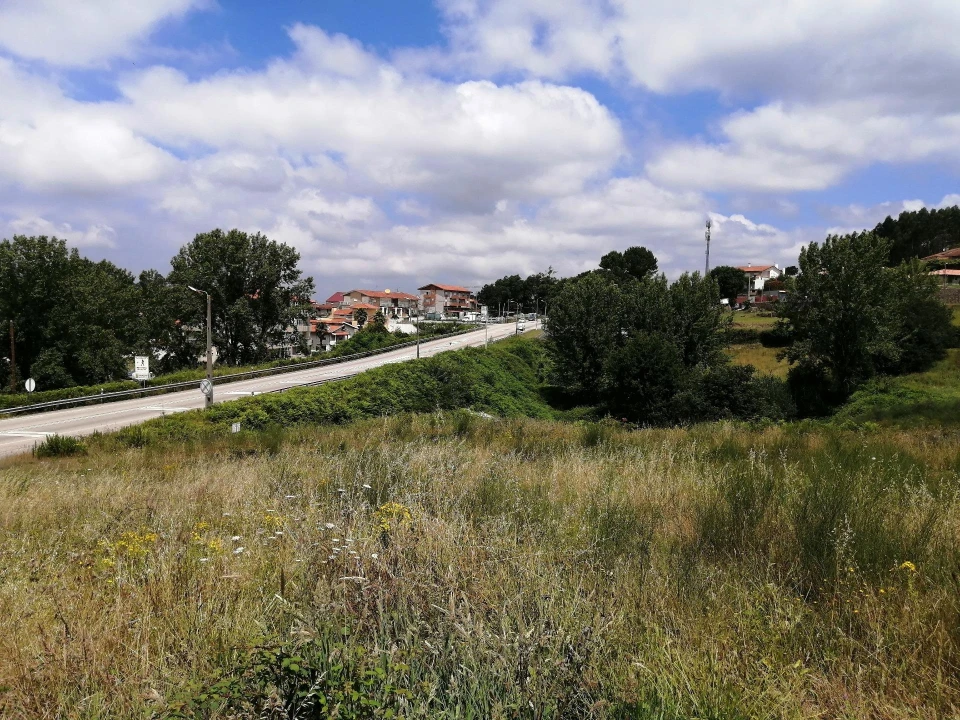 Terreno Agricola ou Rústico para Venda em O. Azeméis, Riba-Ul, Ul, Macinhata Seixa, Madail Foto 12