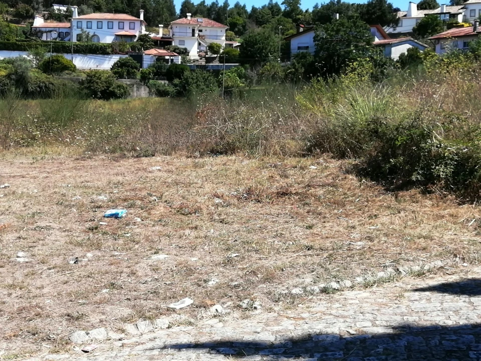 Terreno Agricola ou Rústico para Venda em O. Azeméis, Riba-Ul, Ul, Macinhata Seixa, Madail Foto 2