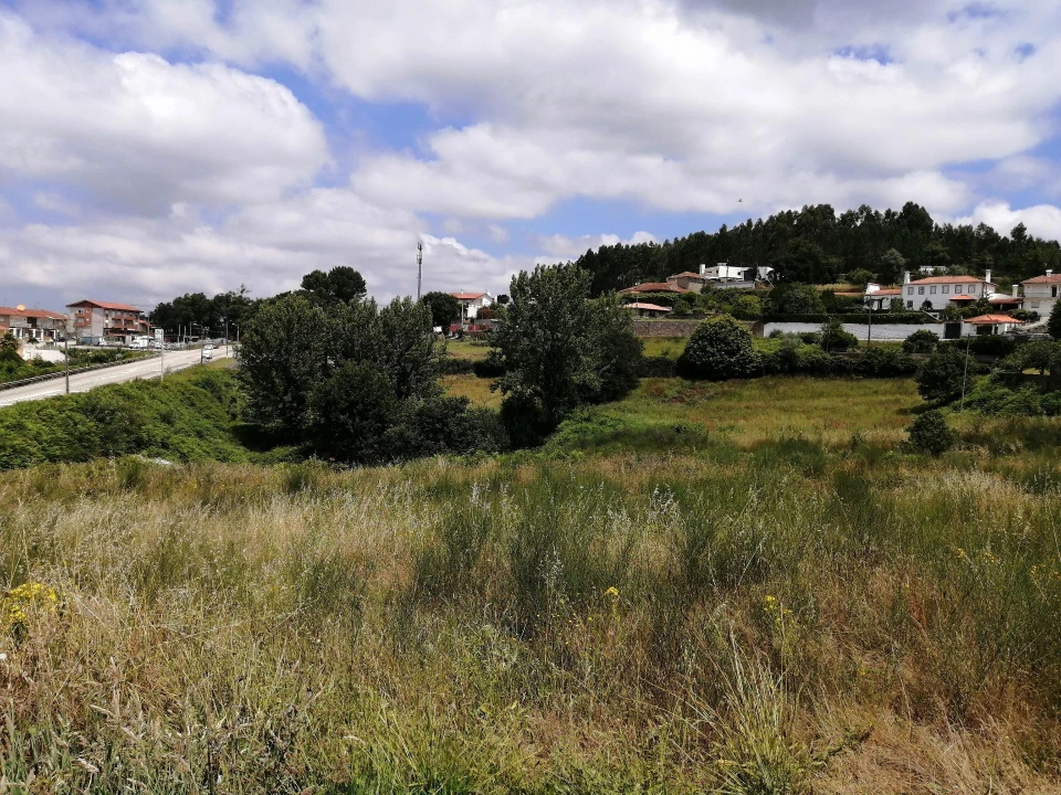 Terreno Agricola ou Rústico para Venda em O. Azeméis, Riba-Ul, Ul, Macinhata Seixa, Madail Foto 5