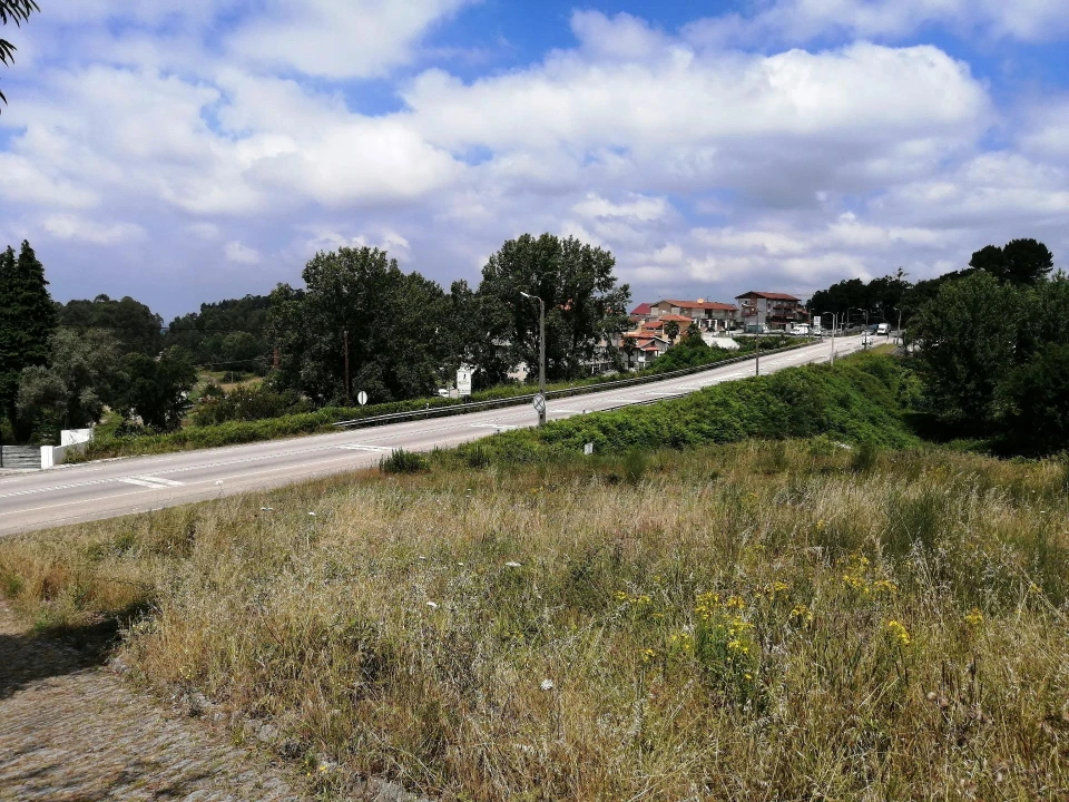 Terreno Agricola ou Rústico para Venda em O. Azeméis, Riba-Ul, Ul, Macinhata Seixa, Madail Foto 6