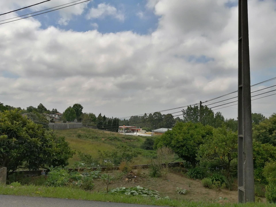 Terreno Agricola ou Rústico para Venda em O. Azeméis, Riba-Ul, Ul, Macinhata Seixa, Madail Foto 7
