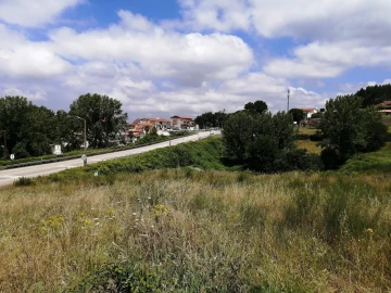 Terreno Agricola ou Rústico para Venda em O. Azeméis, Riba-Ul, Ul, Macinhata Seixa, Madail