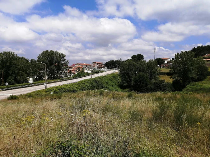 Terreno Agricola ou Rústico para Venda em O. Azeméis, Riba-Ul, Ul, Macinhata Seixa, Madail Foto 12