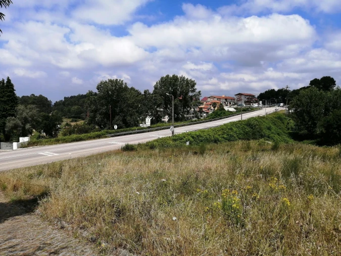 Terreno Agricola ou Rústico para Venda em O. Azeméis, Riba-Ul, Ul, Macinhata Seixa, Madail Foto 6