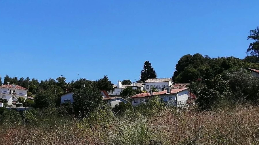Terreno Agricola ou Rústico para Venda em O. Azeméis, Riba-Ul, Ul, Macinhata Seixa, Madail