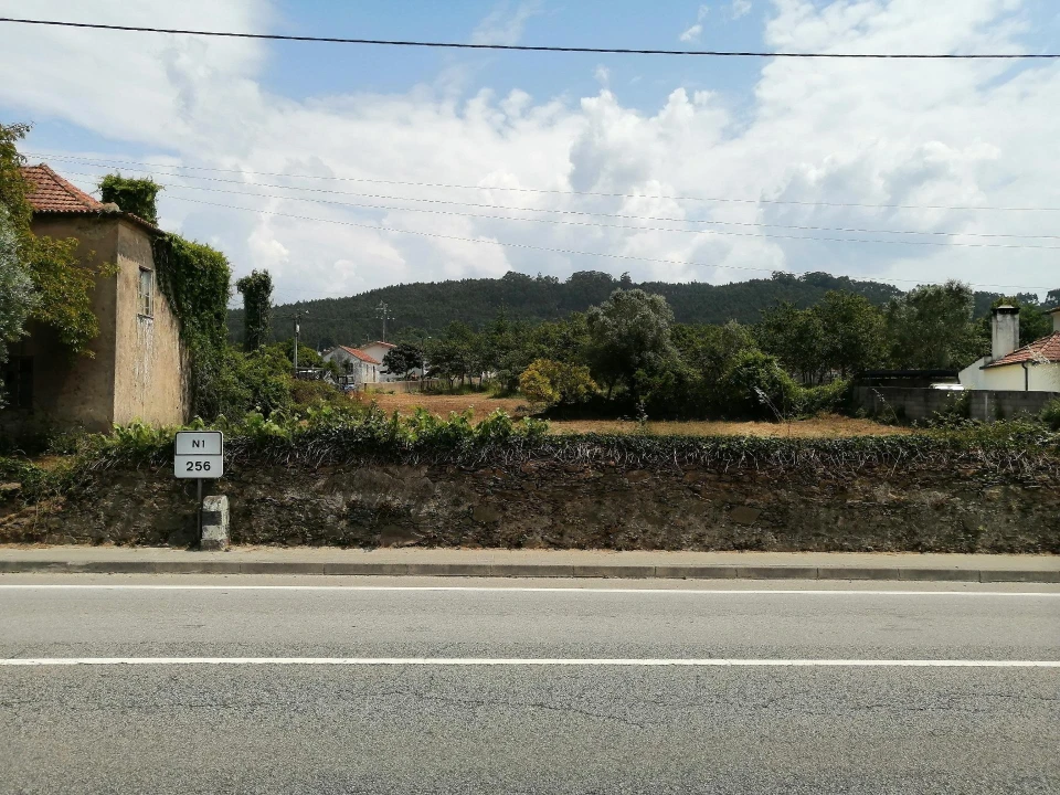 Terreno para Venda em Branca Foto 3