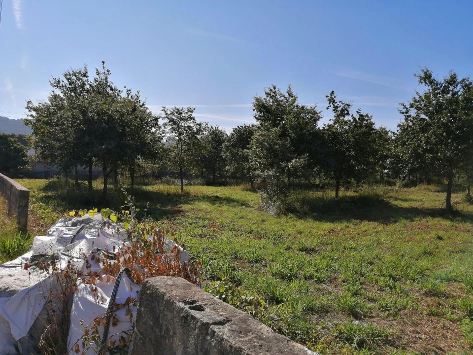 Terreno para Venda em Branca Foto 7