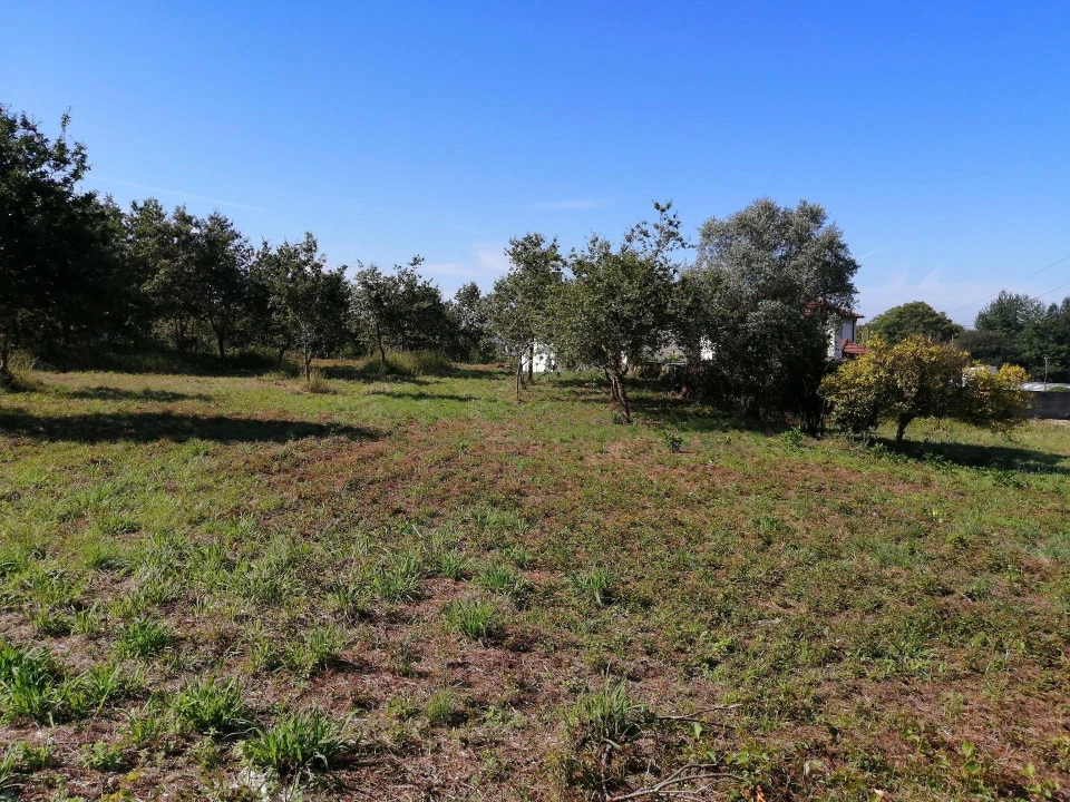 Terreno para Venda em Branca Foto 8