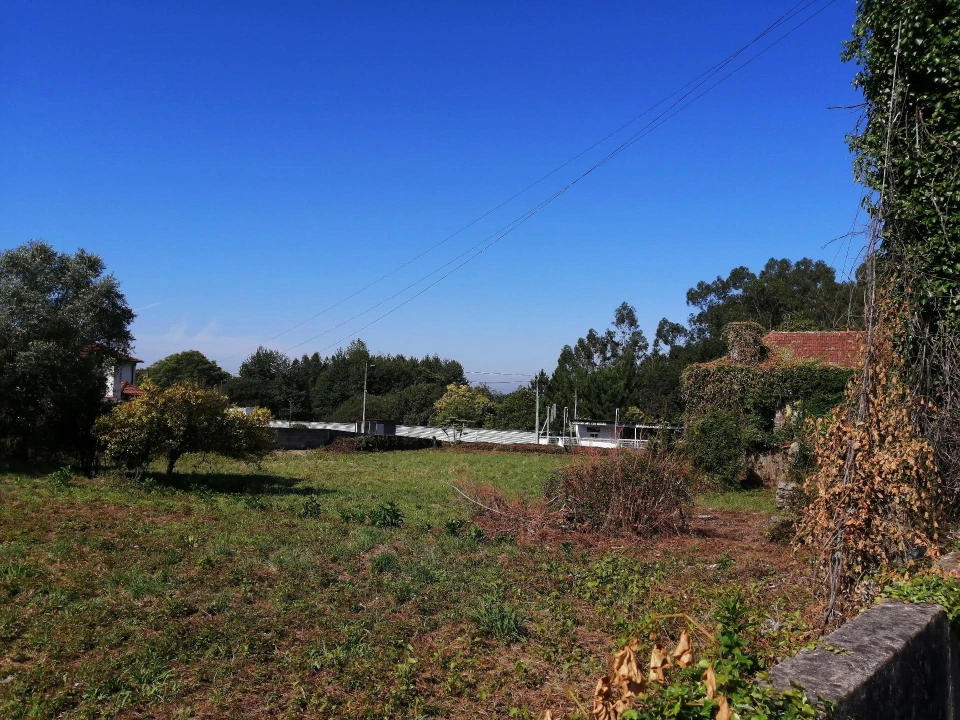 Terreno para Venda em Branca Foto 9