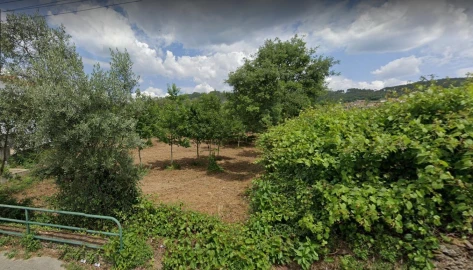 Terreno para Venda em Branca