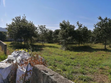 Terreno para Venda em Branca