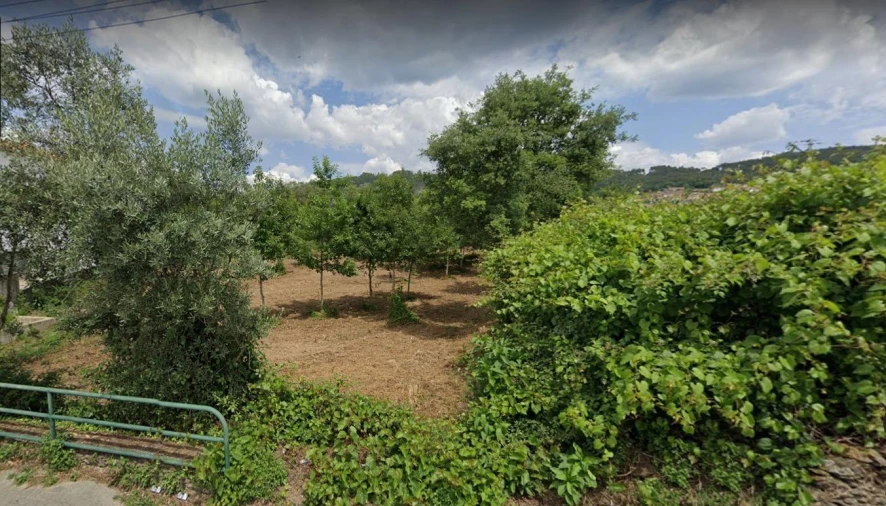 Terreno para Venda em Branca Foto 15